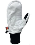The Photo Incentive Mitt White